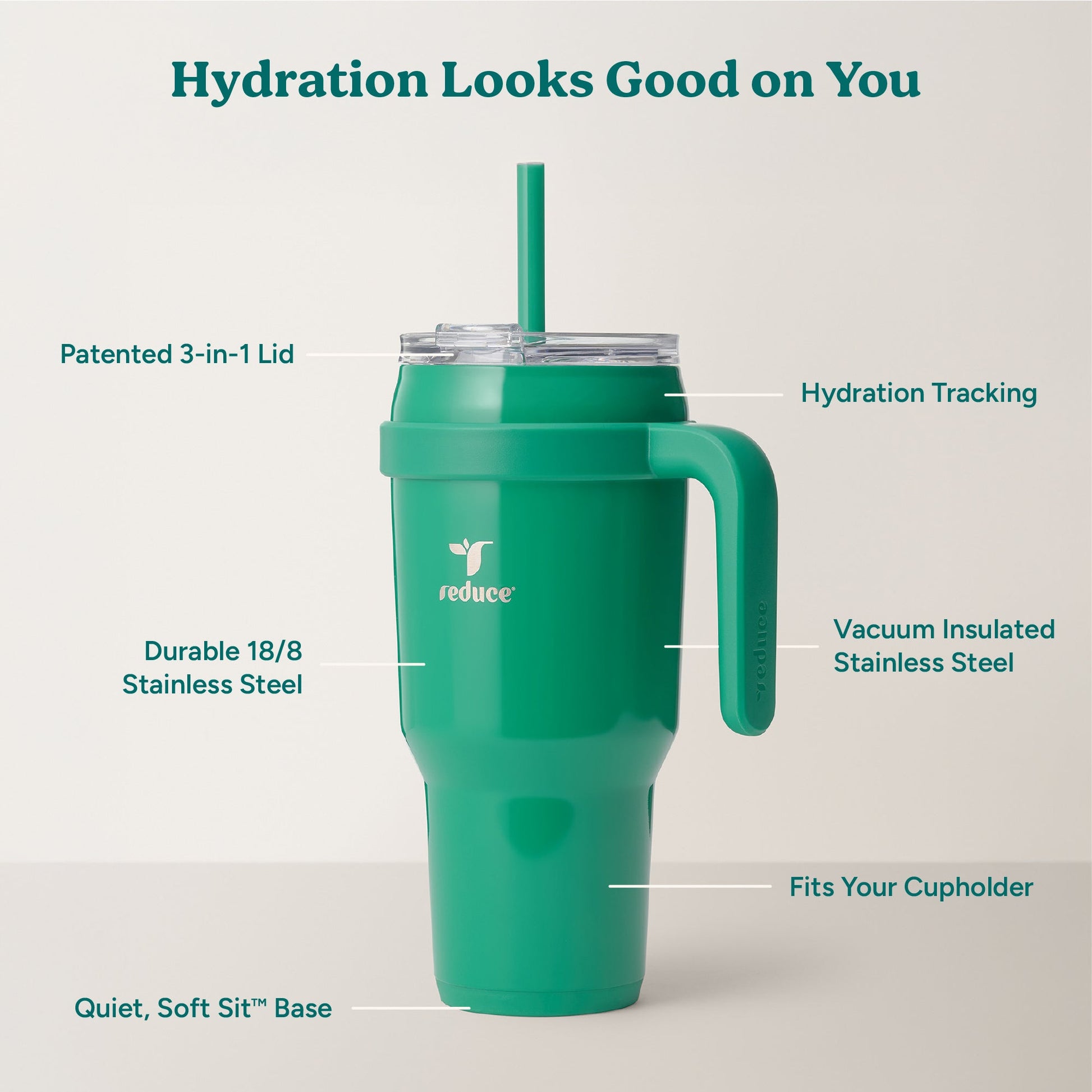 cold1-40-oz-t1 Cold1_40oz_PalmLeaf_Infographic_2.jpg