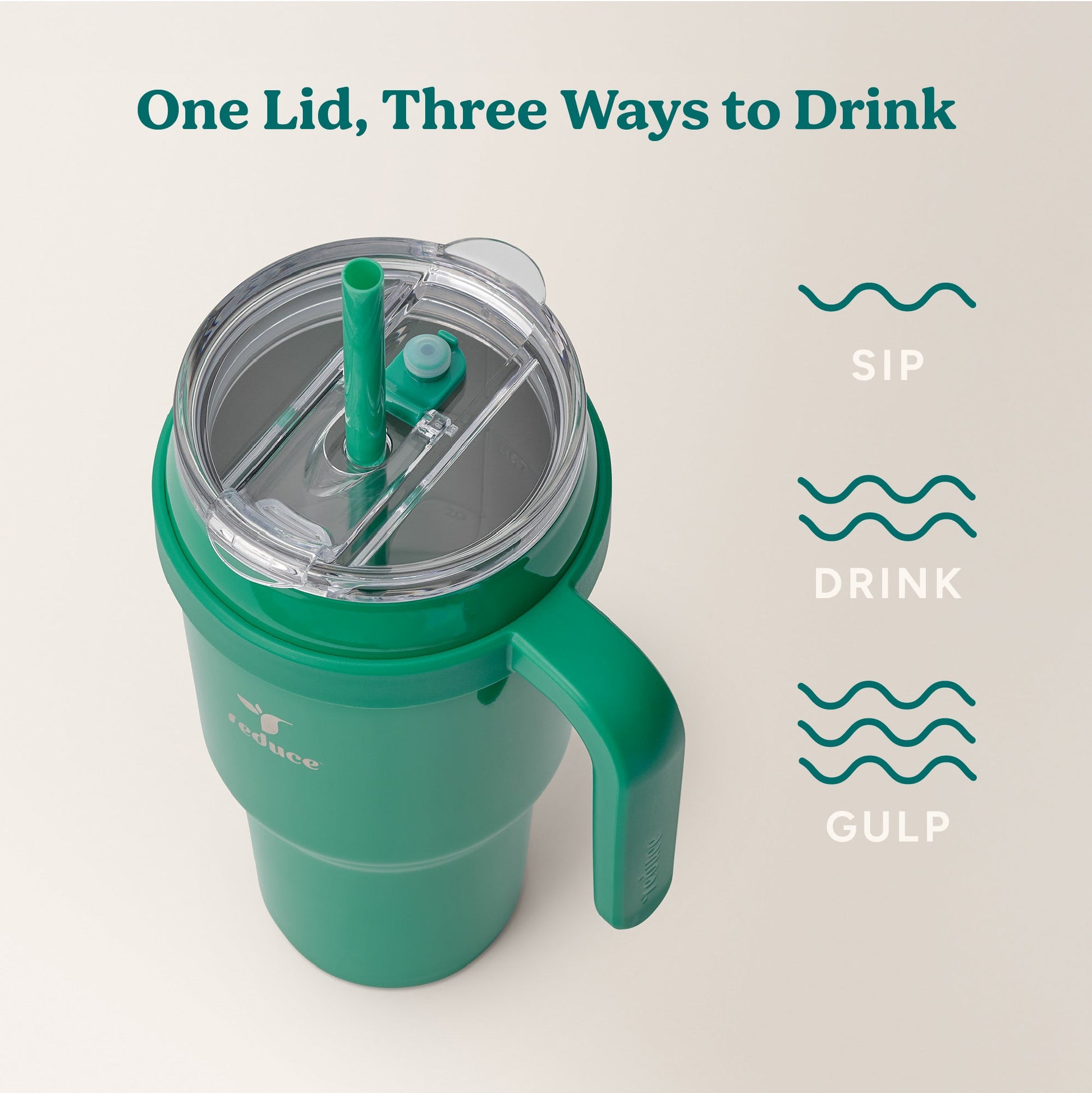 cold1-40-oz-t1 Cold1_40oz_PalmLeaf_Infographic_3.jpg