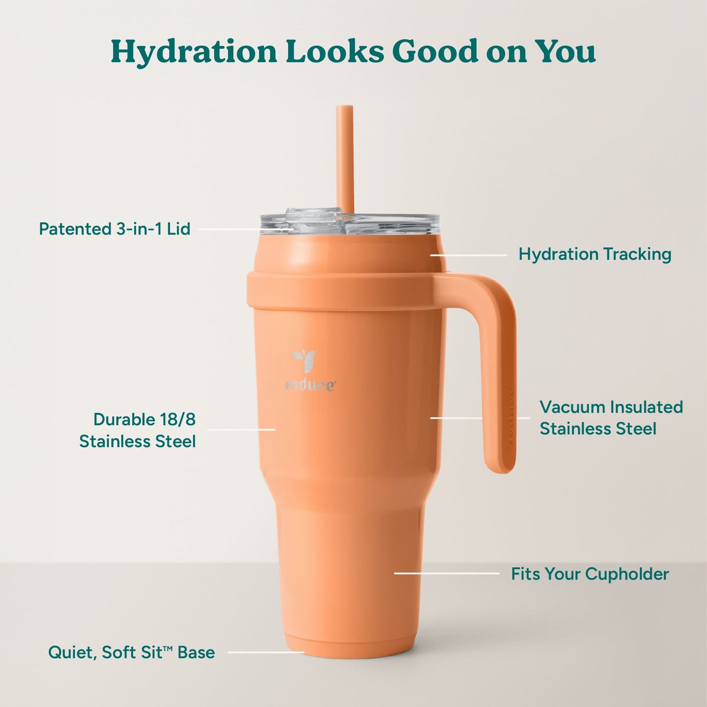 cold1-40-oz-t1 Cold1_40oz_Papaya_Infographic_2.jpg