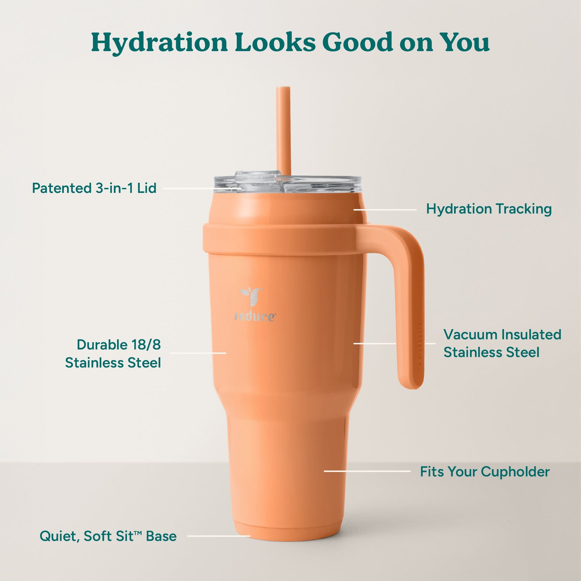 cold1-40-oz-t1 Cold1_40oz_Papaya_Infographic_2.jpg