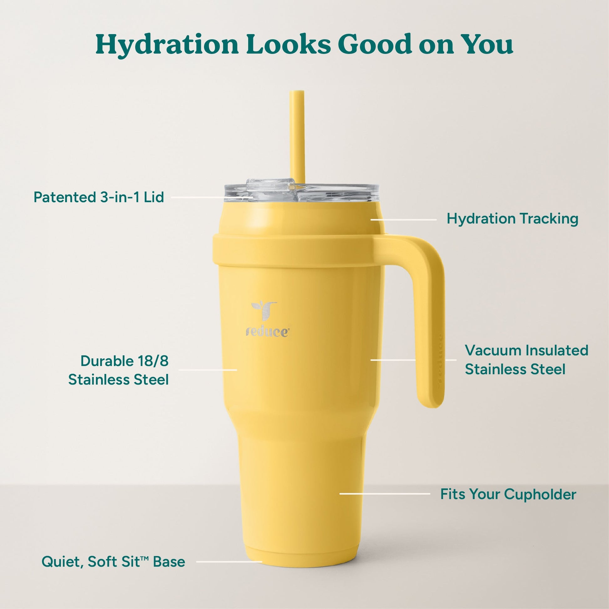 cold1-40-oz-t1 Cold1_40oz_Pineapple_Infographic_2.jpg